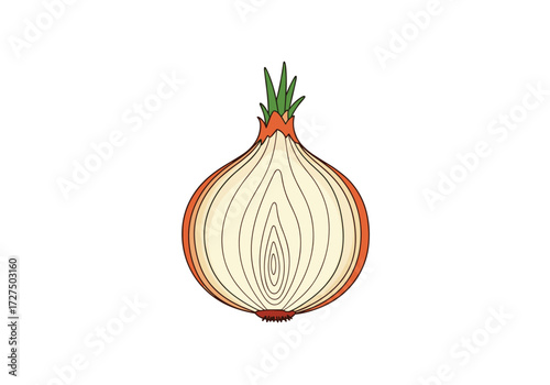 A single yellow onion sliced in half on a white background.