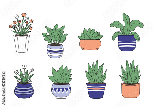 A collection of potted plants in various decorative containers.