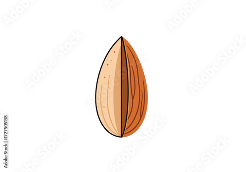 A nutritious almond seed split in half on a white background.
