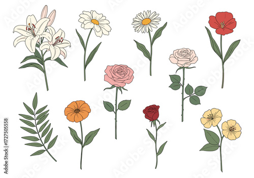 A collection of beautifully illustrated wildflowers and plants.