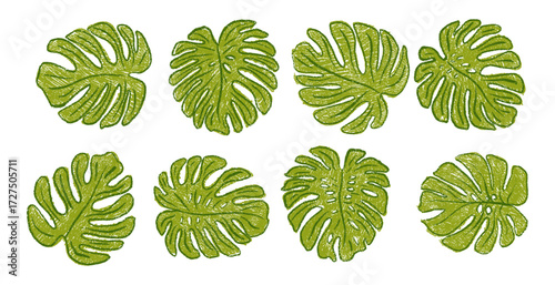 Hand drawn crayon grainy monstera leaves set. Abstract grunge texture shapes. Vector  EPS 10