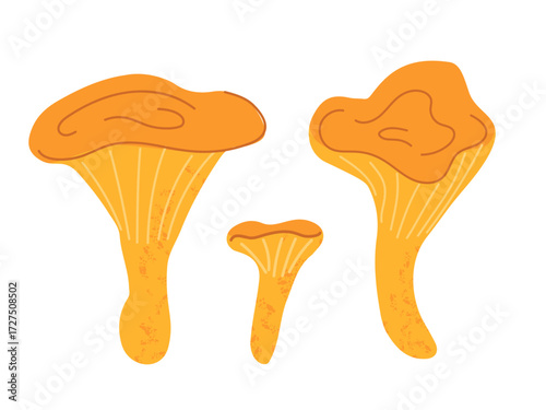 Flat style illustration of three chanterelle mushrooms with orange caps and yellow stems, ideal for food packaging, recipe blogs, organic branding and kitchen decor