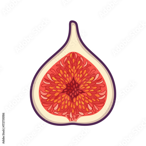 Vibrant CrossSection of a Ripe Fig with Detailed Seed Pattern.