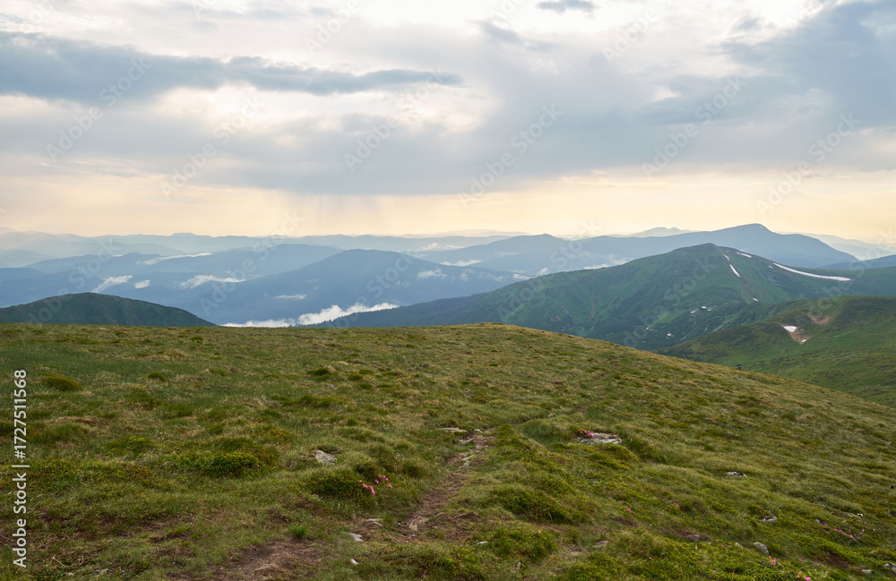 Naklejka premium Beautiful Carpathian mountains in Ukraine