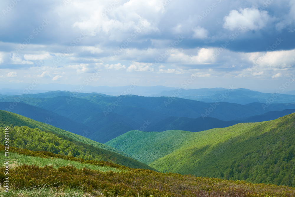 Fototapeta premium Beautiful Carpathian mountains in Ukraine
