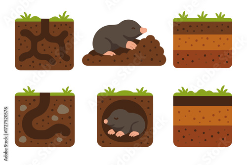 Colorful Mole Tunnels. Detailed Mole Tunnel icons in modern flat : tunnel network diagram, mole pushing soil, layered underground design, burrow with