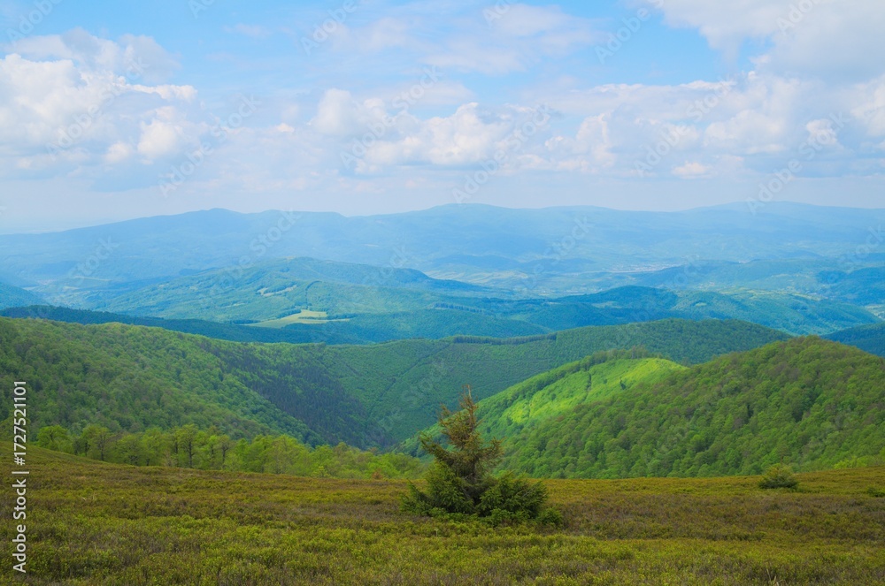 Fototapeta premium Beautiful Carpathian mountains in Ukraine