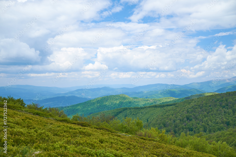Fototapeta premium Beautiful Carpathian mountains in Ukraine