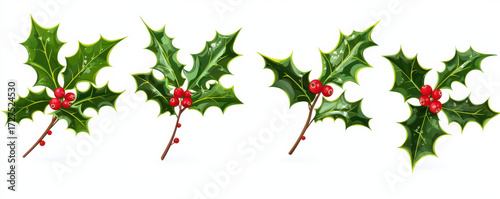 Realistic illustration of four holly branches with green leaves and red berries, symbolizing Christmas