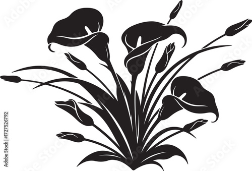 Black silhouette of a bouquet of calla lilies with leaves and buds flowers floral
