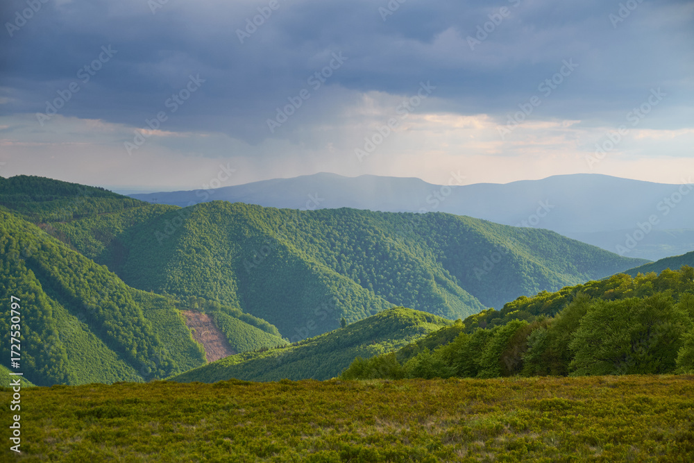 Fototapeta premium Beautiful Carpathian mountains in Ukraine