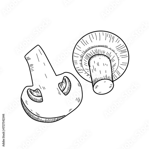 mushroom