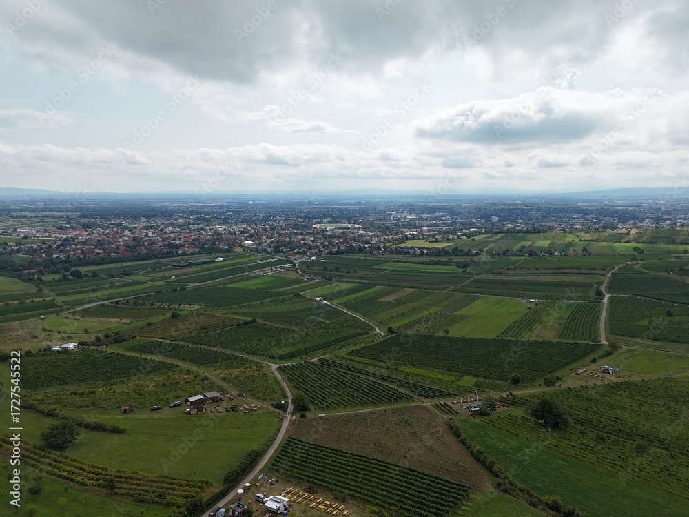 Obraz premium Drohnenaufnahme der Weingärten in der Thermenregion mit Blick auf Baden bei Wien