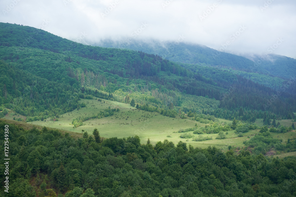 Fototapeta premium Beautiful Carpathian mountains in Ukraine