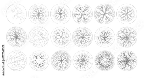 Tree Canopy Top View: Variety of 18 Detailed Line Art Illustrations for Architectural and Landscape Design in White Background