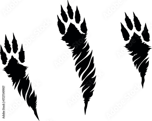 Claw mark scratches vector silhouette, Tiger, lion, dog, monster, animal paw prints