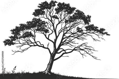 Monochrome Lakeside Landscape: Forest, Water, and Solitary Tree Silhouette Vector

