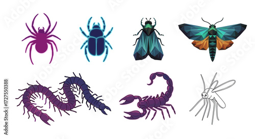Illustration of various insects and arachnids on white background