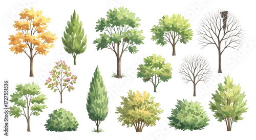 Collection of Vector Trees and Shrubs in Various Styles: Deciduous, Evergreen, Autumnal, and Bare, Perfect for Landscape and Architectural Illustrations