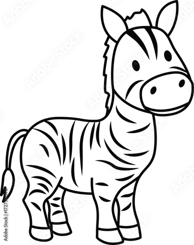 Zebra illustration coloring book
