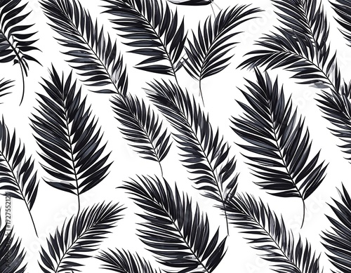 Black palm leaves on white background