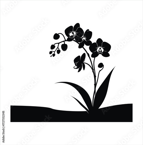 Elegant Orchid Silhouette A Study in Minimalist Design and Botanical Beauty for Wall Art and Decor