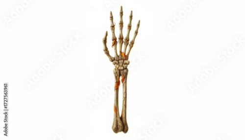 Skeleton Hand Fork – Spooky Halloween Cutlery
