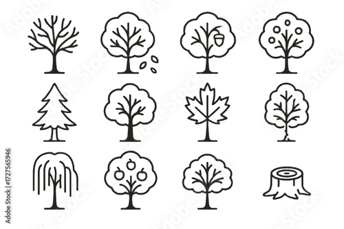 Fruits bare pine leaves willow icon vector tree maple oak autumn