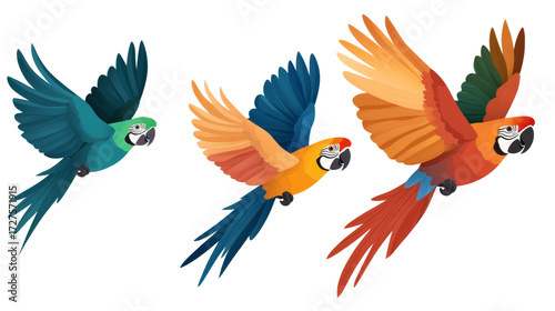 Three Colorful Macaws in Flight, Isolated on Transparent Background, Illustration, Bird, Tropical, Parrot, Avian