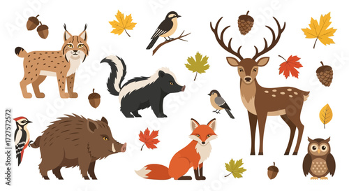 A charming collection of forest animals including a lynx, skunk, deer, fox, owl, boar, and woodpecker, surrounded by autumn leaves and acorns