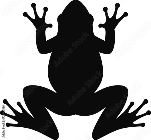 frog top view with spread legs, webbed feet clear, solid black silhouette