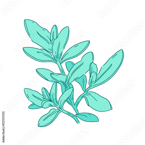 Stevia leaves in hand-drawn style, teal tones, natural sweetener and herbal concept