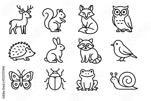 Fox beetle butterfly raccoon icon vector rabbit frog hedgehog squirrel forest icons