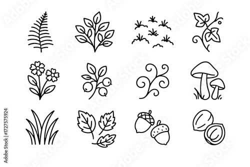 Icon wildflowers shrubs mushrooms berries fallen grasses icons forest acorns vector autumn