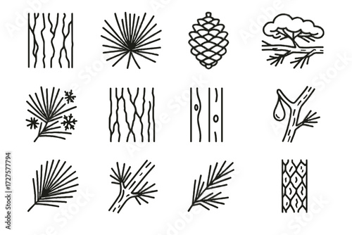 Tree resin needles snow details needle frost pine joints vector icon