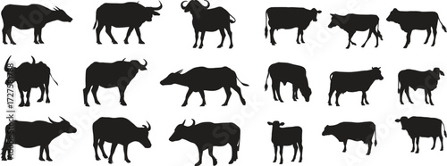 vector silhouettes of animals cows