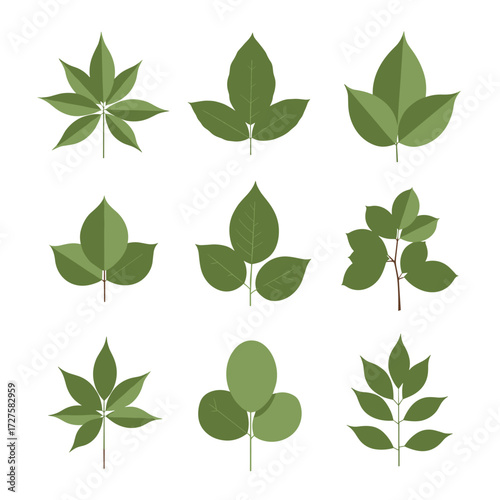 A collection of nine different green leaf illustrations in a three by three grid.