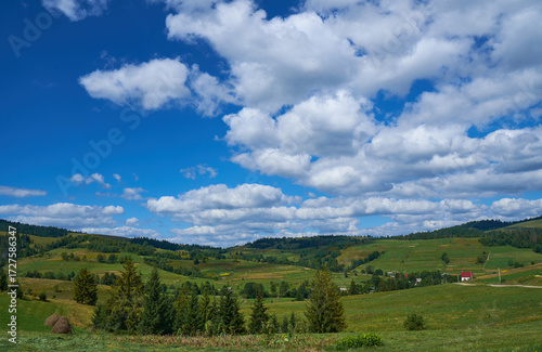 Wallpaper Mural Beautiful Carpathian mountains in Ukraine Torontodigital.ca