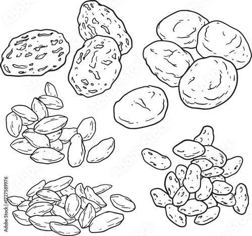 Hand-drawn line art of various dried fruits and seeds, including raisins, dates, and sunflower seeds. Vector sketch in black and white, ideal for natural, healthy food, vegan, or baking-related.