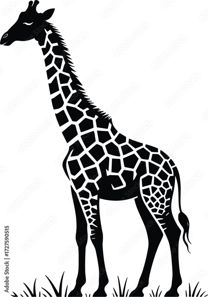 Fototapeta premium Giraffe Silhouette with Patterned Body Standing in Grass Vector Image