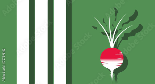 A vibrant red and white radish with green leaves is depicted against a green background with bold vertical white and dark green stripes