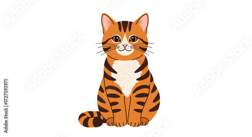 A cute orange tabby cat with white chest and paws is sitting attentively.