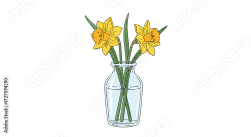 A clear glass vase holding two bright yellow daffodils.