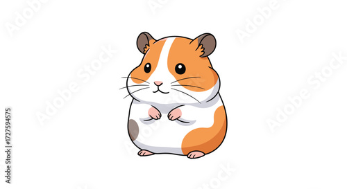 A cute fluffy hamster standing and looking at you.