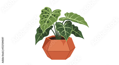 A potted plant with large green leaves sits in a geometric pot.