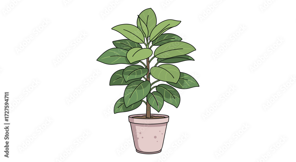 Obraz premium A potted ficus tree with large green leaves in a light pink pot.