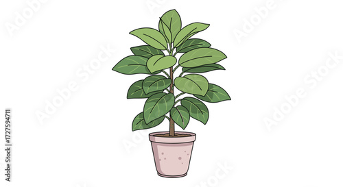 A potted ficus tree with large green leaves in a light pink pot.