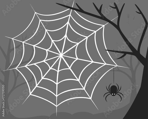 A spooky halloween scene features a large white spiderweb with a small black spider hanging from a thread on a dark bare tree
