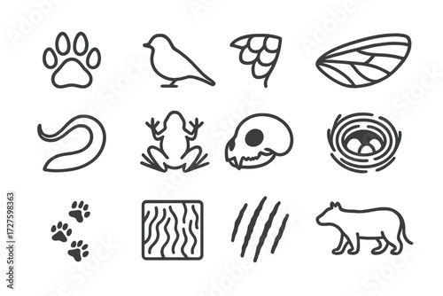 Wing animal nest vector mark icon paw silhouette icons biology mammal insect