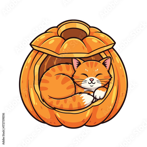 Cute orange tabby cat sleeping inside a carved pumpkin isolated on white background